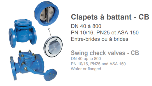 Swing check valves - CB